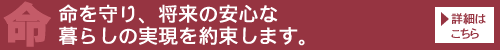 2011のお約束　命