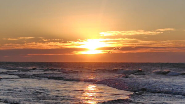 財政健全化と地域活性化　両立の年に【田口章】